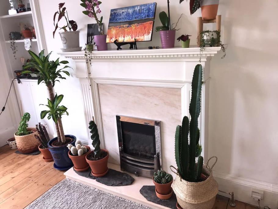 Cosy 2 Bedroom Flat In Edinburgh Bagian luar foto